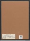 Navicula placentula (Ehr.) Kuetz. (de-Toni-Nr.: Genus 1, Species 137) Zeichnungen Sammlung Grunow Mappe 00121 (Herbarium_W_Grunow_drawings_Folder_00121)